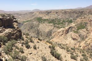 nizwa-jebel-akhdar-03.JPG