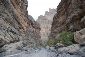 nakhal-wadi-awf-03.JPG